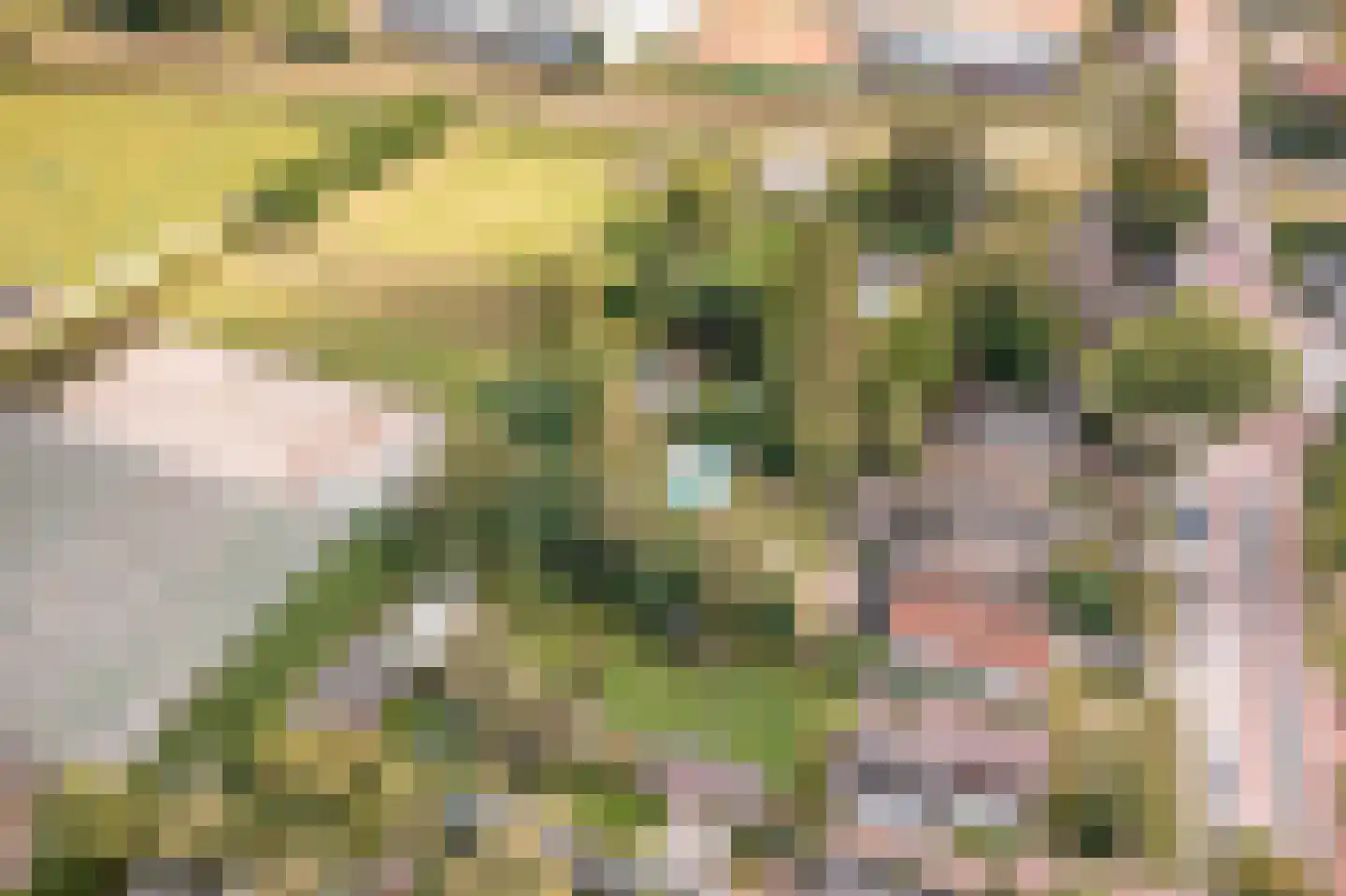 Noorderdracht 5 Oosterblokker thumbnail 49