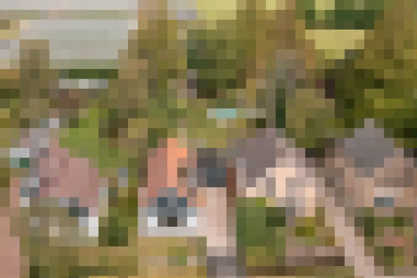 Noorderdracht 5 Oosterblokker thumbnail 5