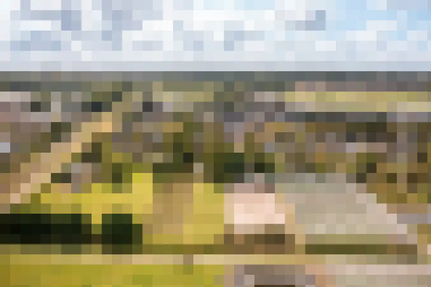 Noorderdracht 5 Oosterblokker thumbnail 50