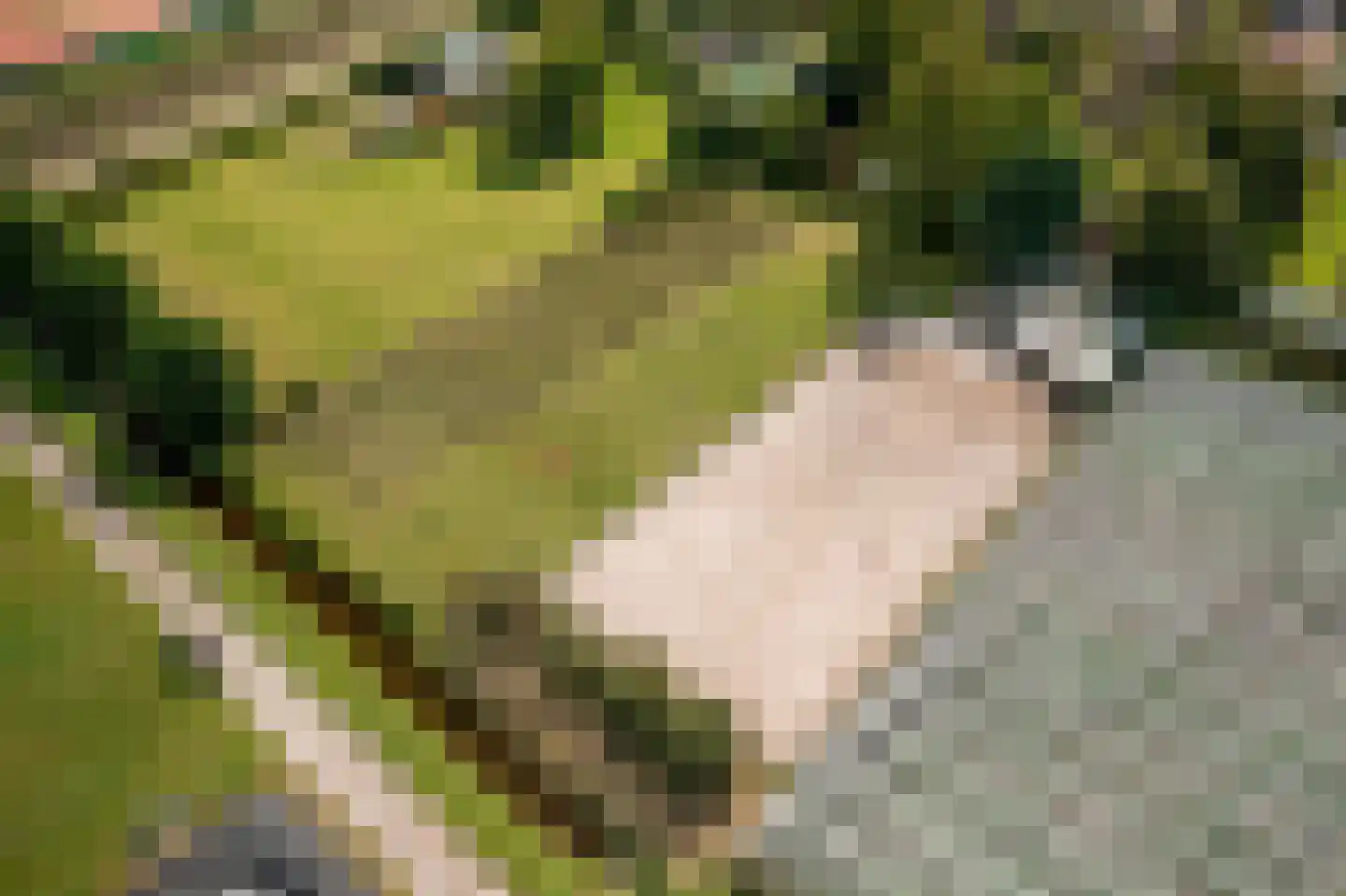 Noorderdracht 5 Oosterblokker thumbnail 51