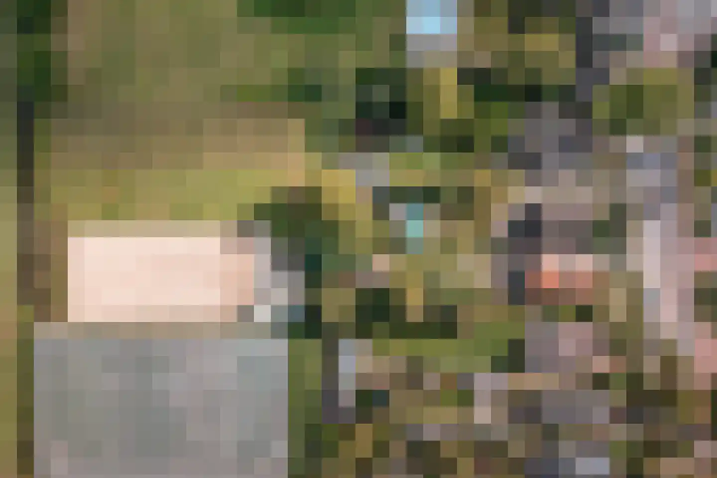 Noorderdracht 5 Oosterblokker thumbnail 53