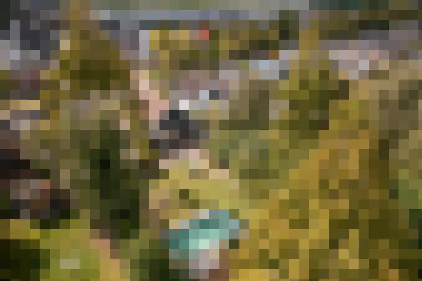 Noorderdracht 5 Oosterblokker thumbnail 55