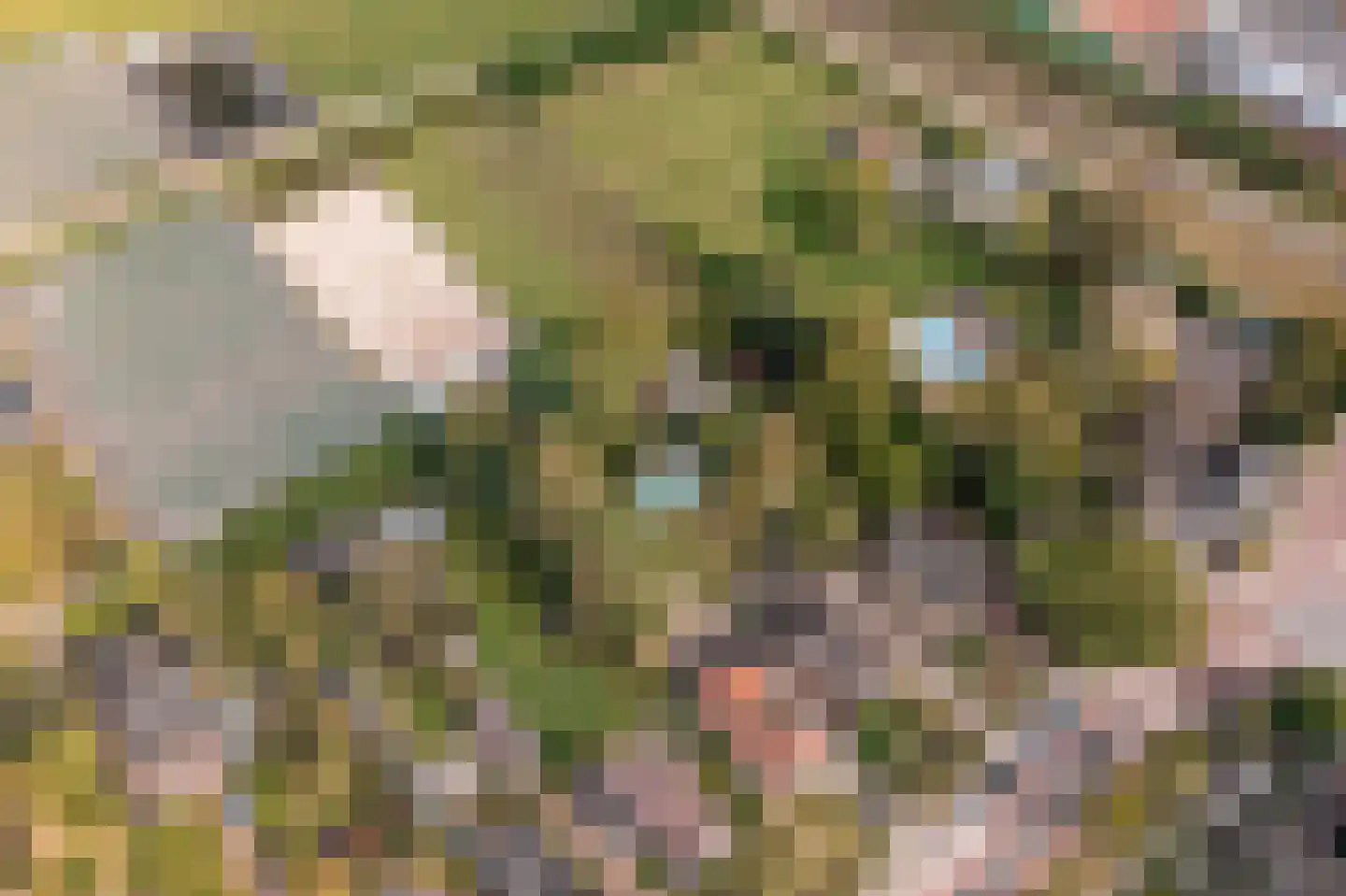 Noorderdracht 5 Oosterblokker thumbnail 56