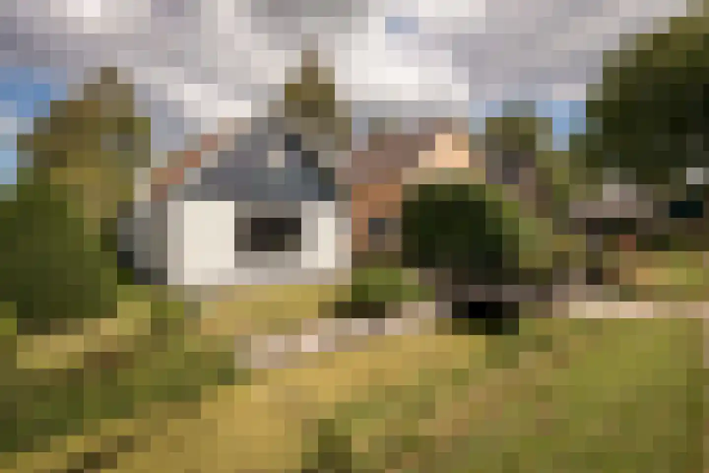 Noorderdracht 5 Oosterblokker thumbnail 58