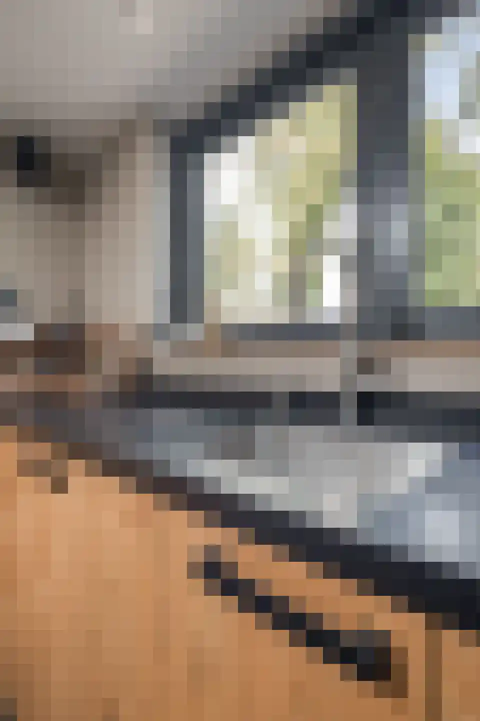 Noorderdracht 5 Oosterblokker thumbnail 66