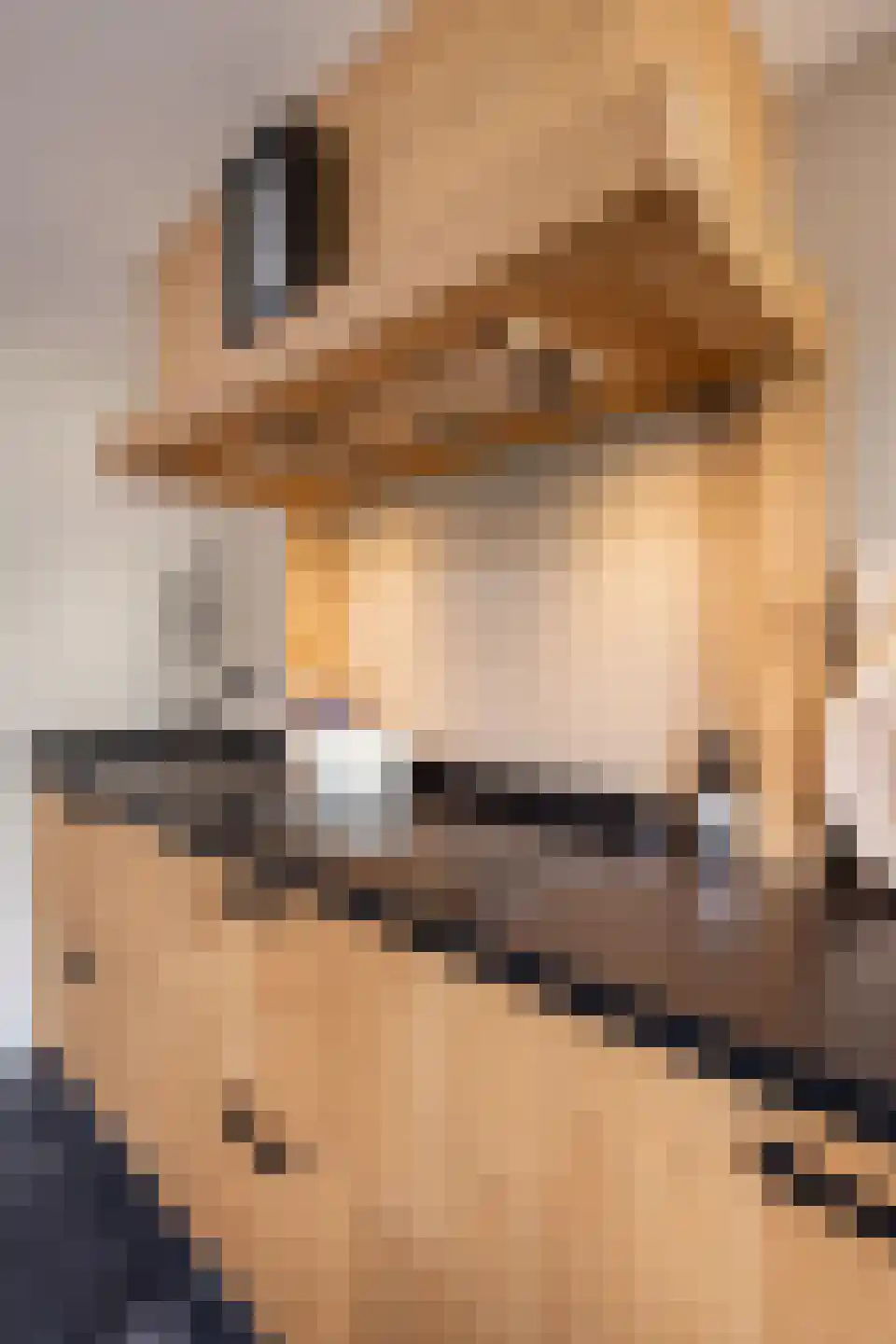 Noorderdracht 5 Oosterblokker thumbnail 67
