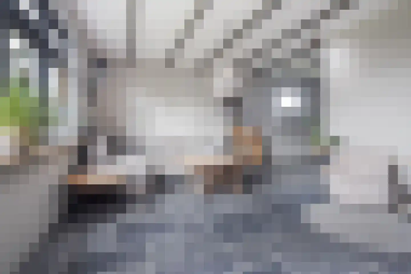 Noorderdracht 5 Oosterblokker thumbnail 8