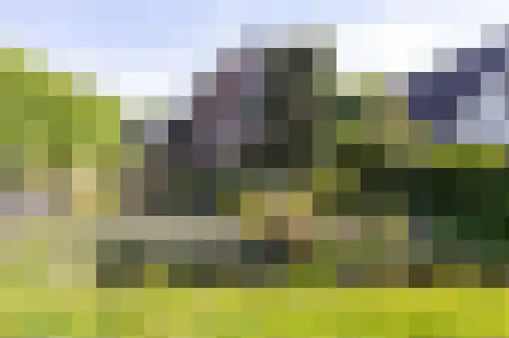 Noorderdracht 53 Oosterblokker thumbnail 10
