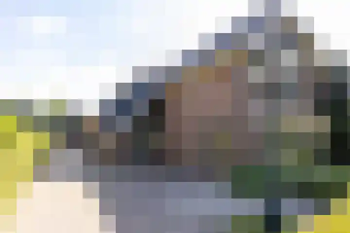 Noorderdracht 53 Oosterblokker thumbnail 12