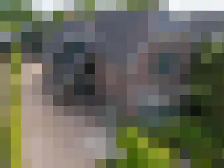Noorderdracht 53 Oosterblokker thumbnail 13