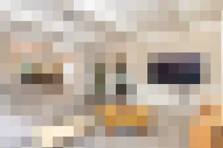 Noorderdracht 53 Oosterblokker thumbnail 15
