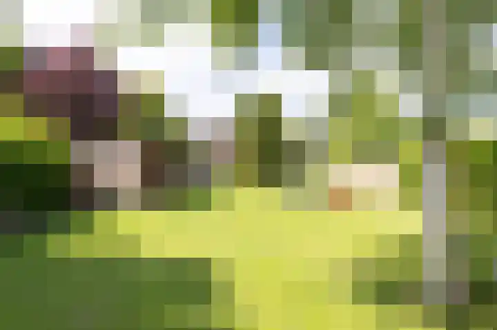 Noorderdracht 53 Oosterblokker thumbnail 4