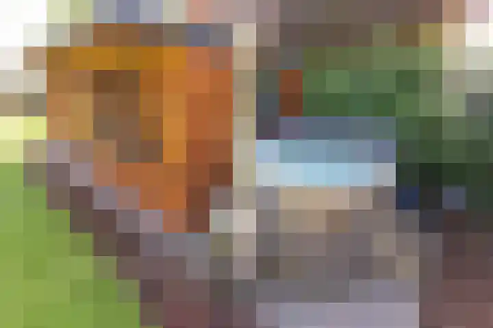 Noorderdracht 53 Oosterblokker thumbnail 48
