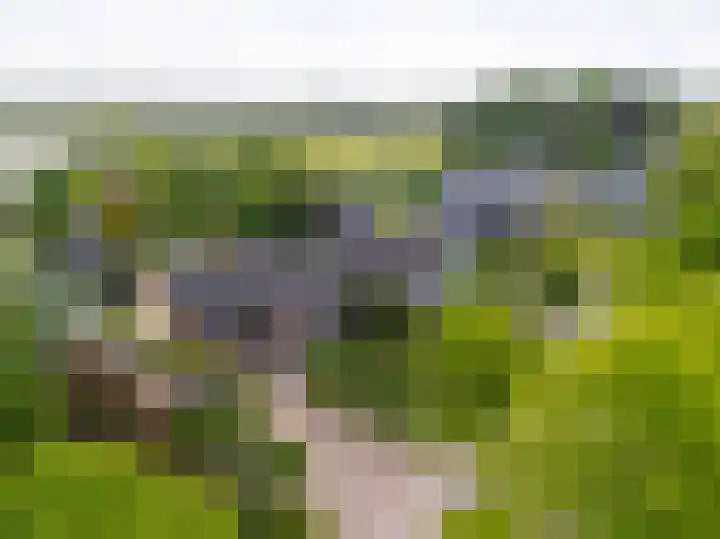 Noorderdracht 53 Oosterblokker thumbnail 5