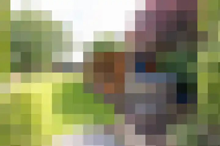 Noorderdracht 53 Oosterblokker thumbnail 51