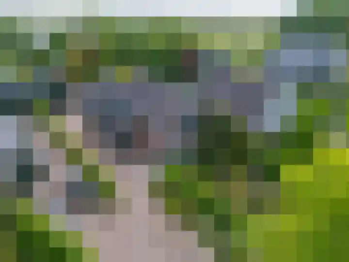 Noorderdracht 53 Oosterblokker thumbnail 6