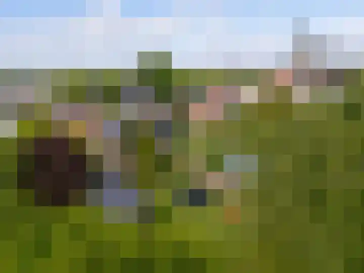 Noorderdracht 53 Oosterblokker thumbnail 7