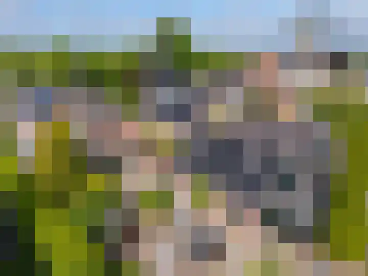 Noorderdracht 53 Oosterblokker thumbnail 8