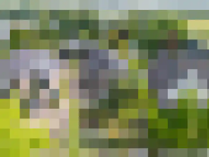 Noorderdracht 53 Oosterblokker thumbnail 9
