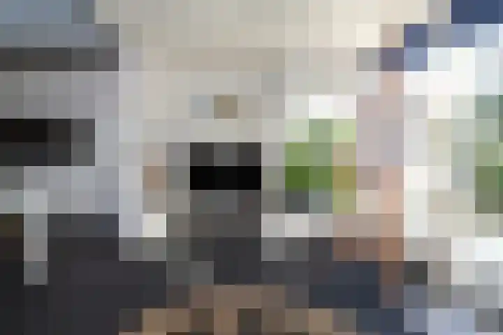 Noorderduin 8 Ouddorp thumbnail 10