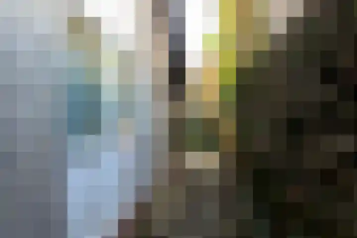 Noorderduin 8 Ouddorp thumbnail 17