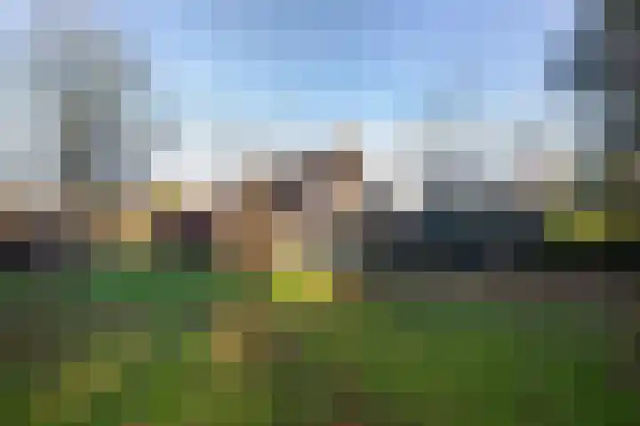 Noorderduin 8 Ouddorp thumbnail 18