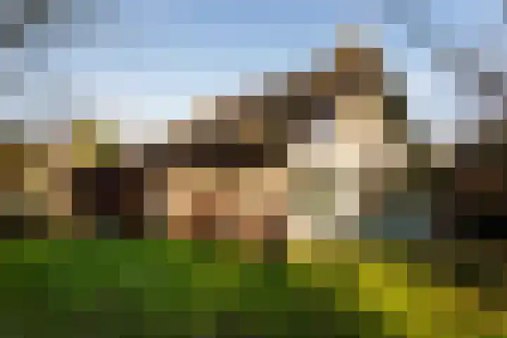 Noorderduin 8 Ouddorp thumbnail 20