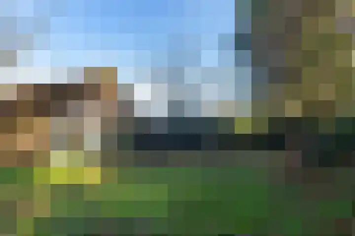Noorderduin 8 Ouddorp thumbnail 23