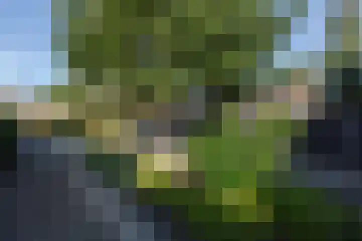 Noorderduin 8 Ouddorp thumbnail 24
