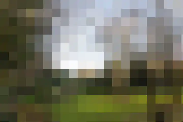 Noorderduin 8 Ouddorp thumbnail 4