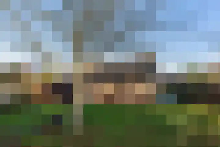 Noorderduin 8 Ouddorp thumbnail 5