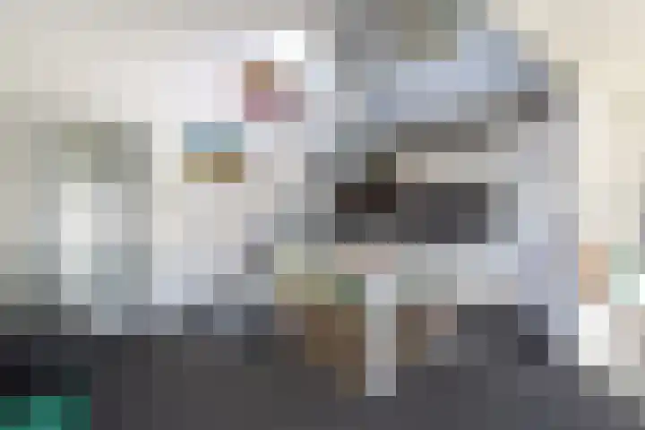 Noorderduin 8 Ouddorp thumbnail 6
