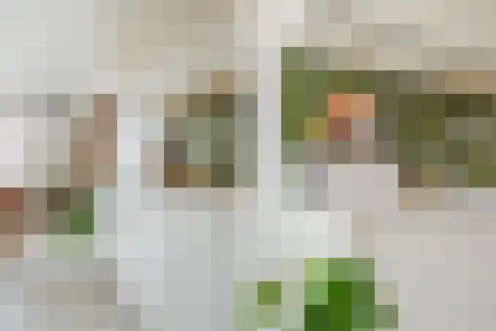 Noorderduinslag 23 Almere thumbnail 23