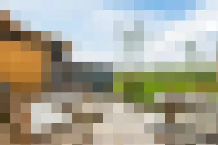 Noorderduinslag 23 Almere thumbnail 51