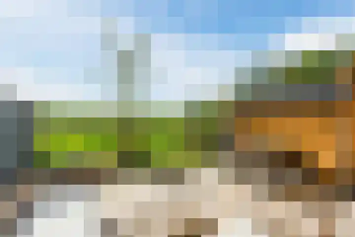 Noorderduinslag 23 Almere thumbnail 52