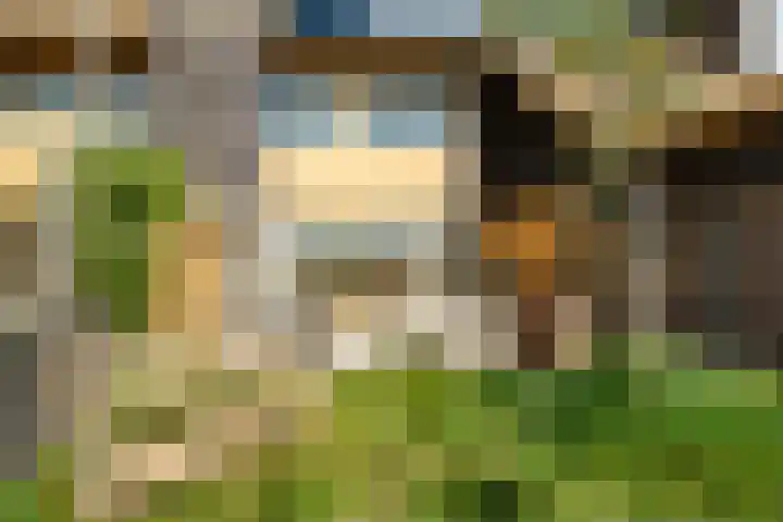 Noorderduinslag 23 Almere thumbnail 54