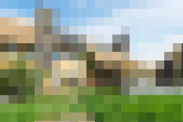 Noorderduinslag 23 Almere thumbnail 56