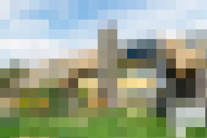 Noorderduinslag 23 Almere thumbnail 57