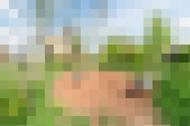 Noorderduinslag 23 Almere thumbnail 61