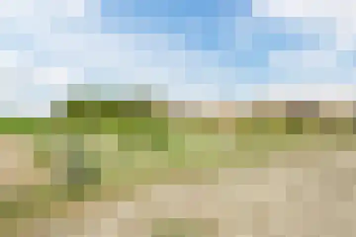 Noorderduinslag 23 Almere thumbnail 62