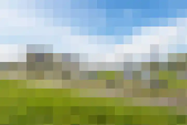 Noorderduinslag 23 Almere thumbnail 65