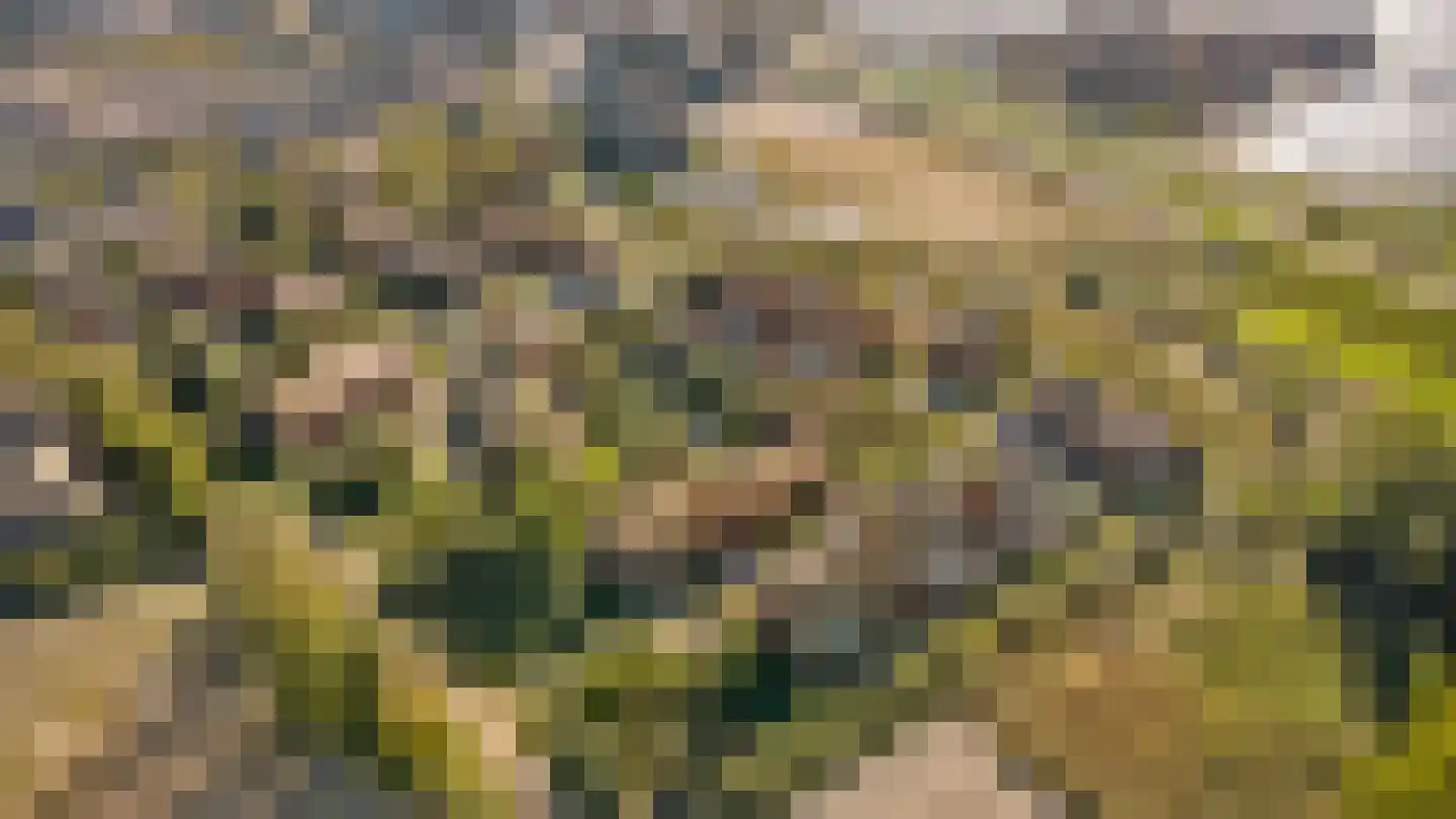 Noorderduinslag 41 Almere thumbnail 35