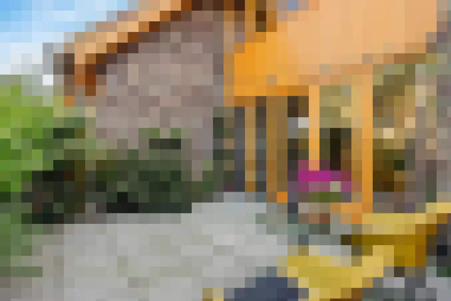 Noorderduinslag 41 Almere thumbnail 5