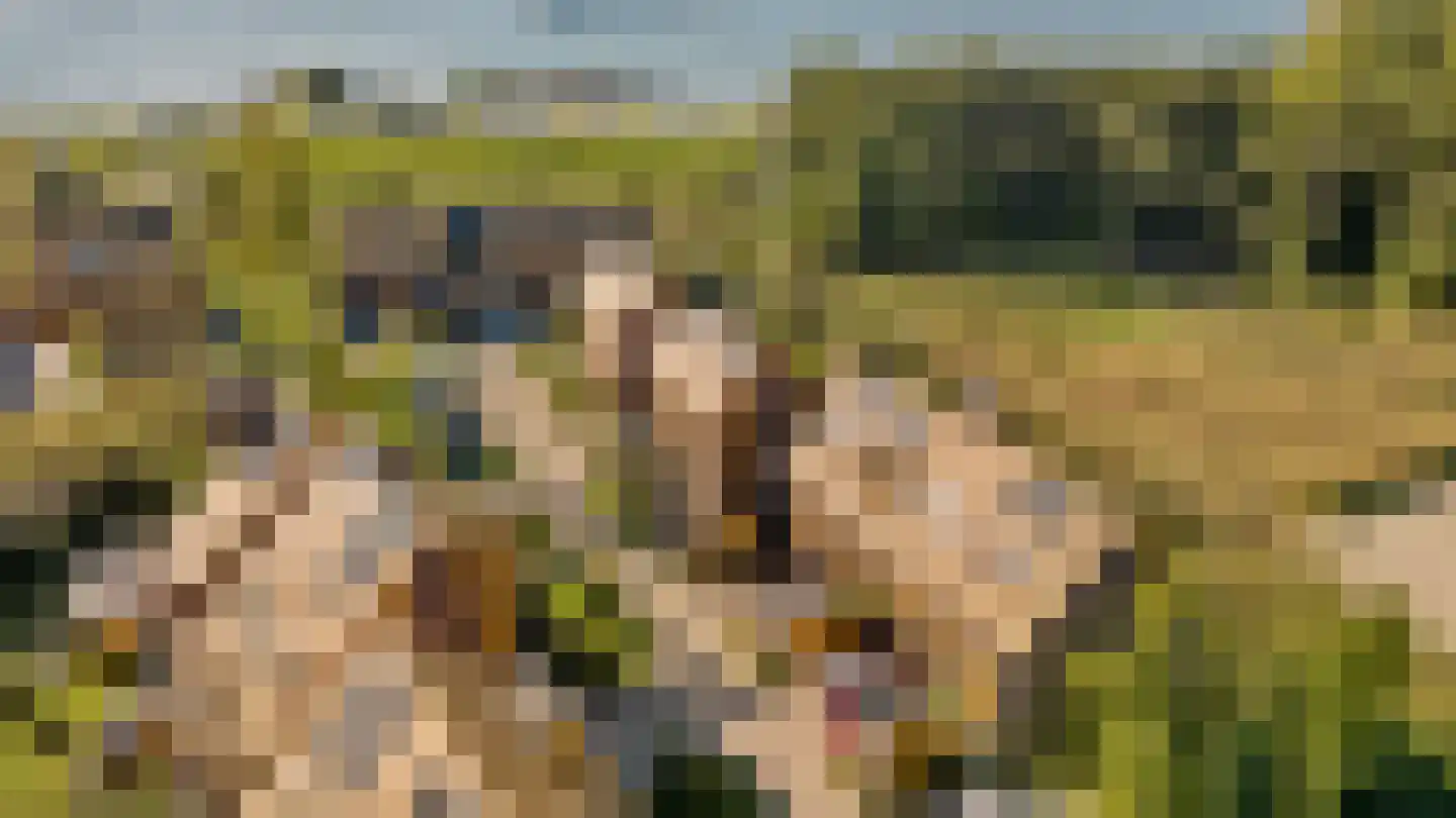Noorderduinslag 41 Almere thumbnail 8