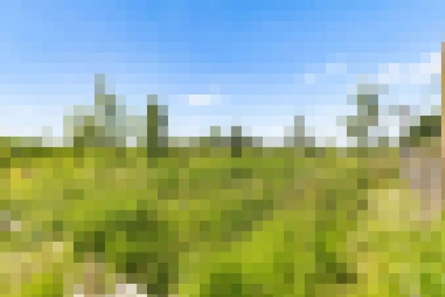 Noorderduinslag 9 Almere thumbnail 18