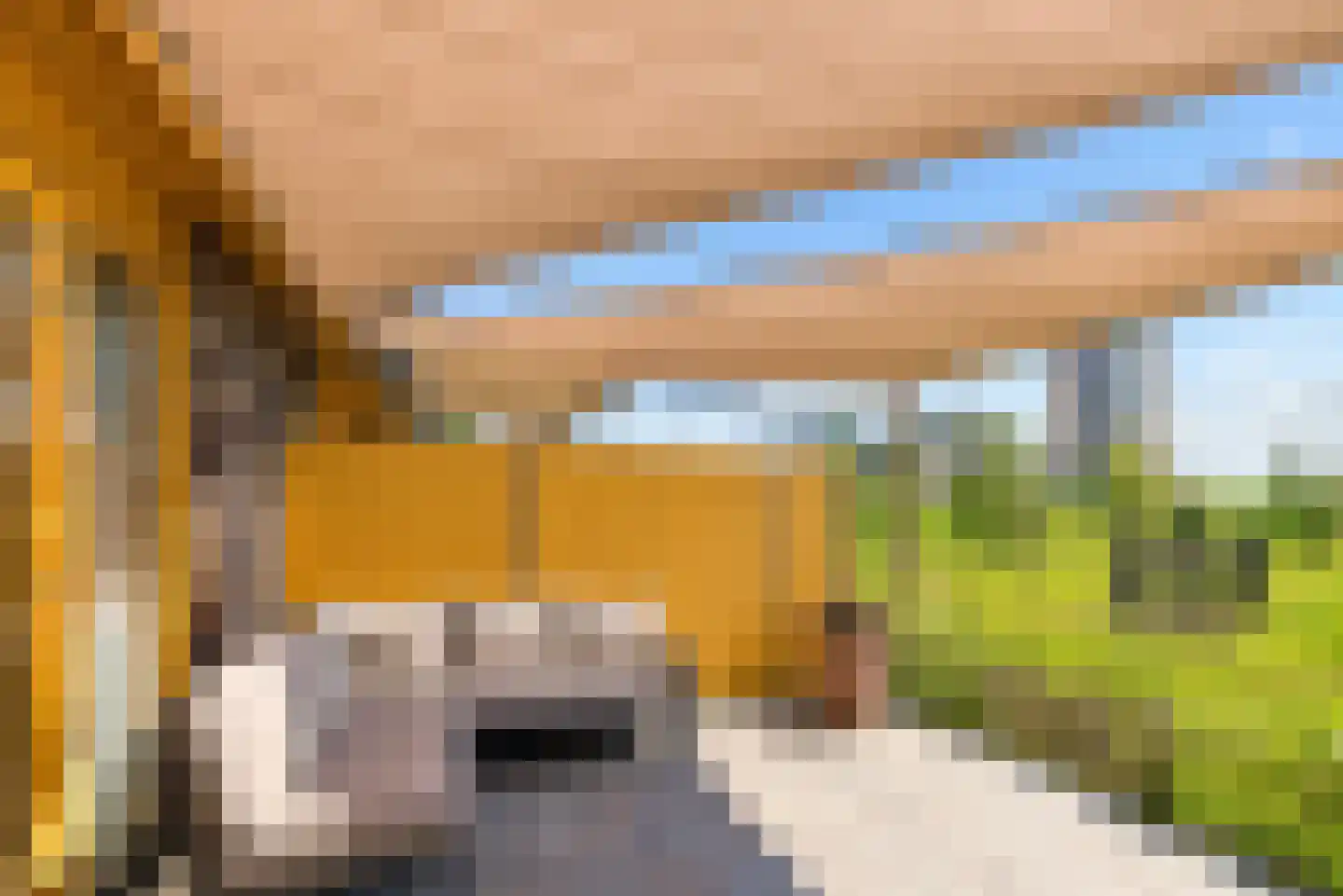 Noorderduinslag 9 Almere thumbnail 25