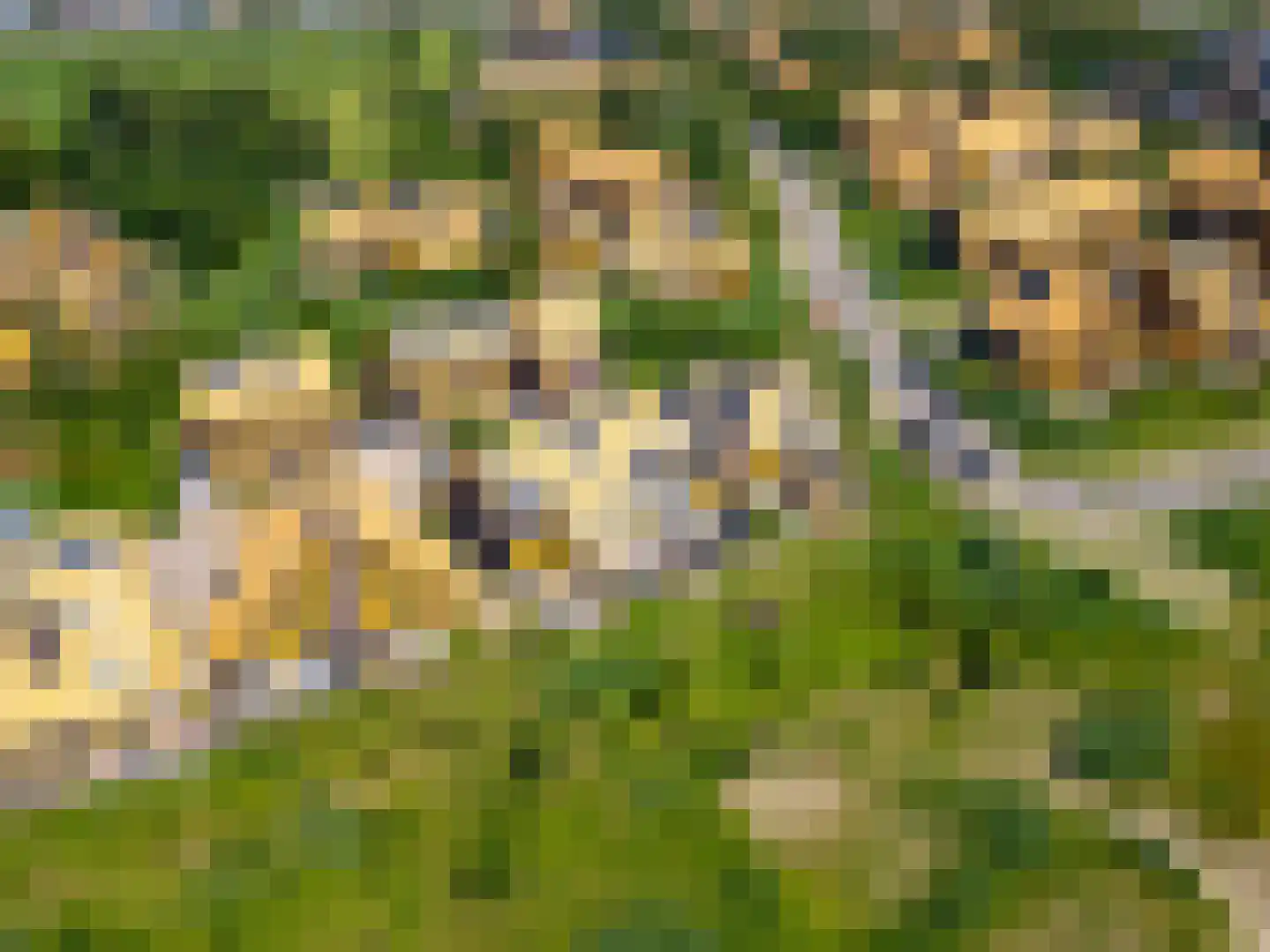 Noorderduinslag 9 Almere thumbnail 53