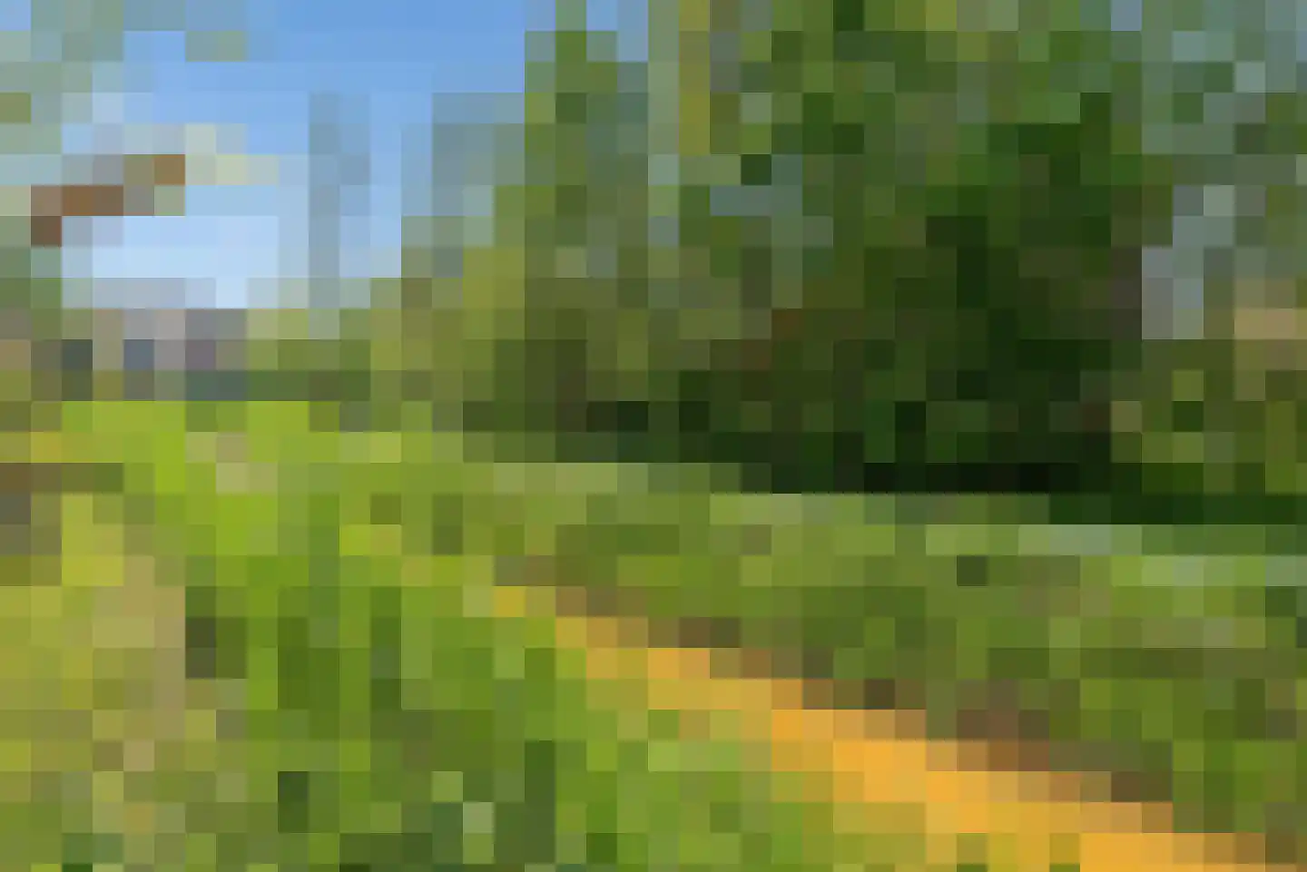 Noorderduinstraat 117 Almere thumbnail 27