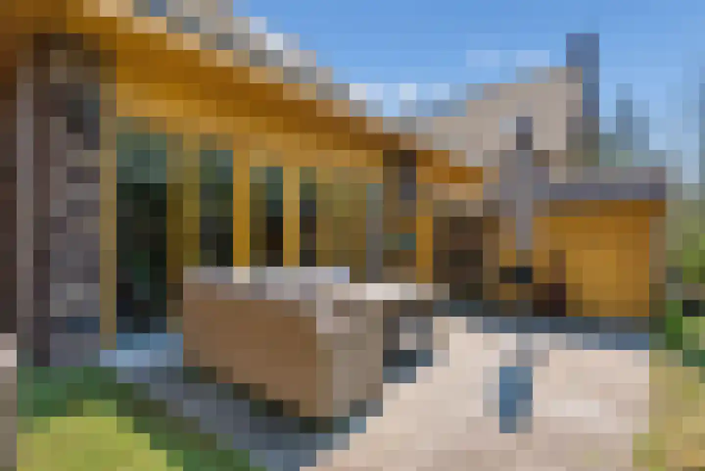Noorderduinstraat 117 Almere thumbnail 33