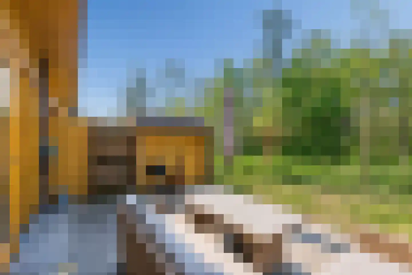 Noorderduinstraat 117 Almere thumbnail 35